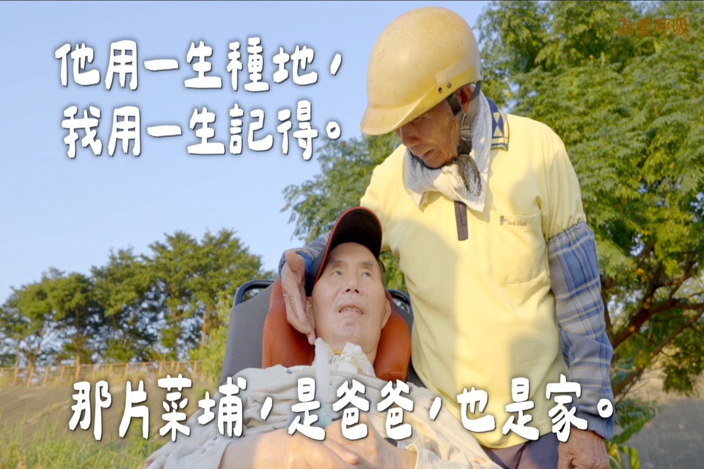 那片菜埔，是爸爸，也是家