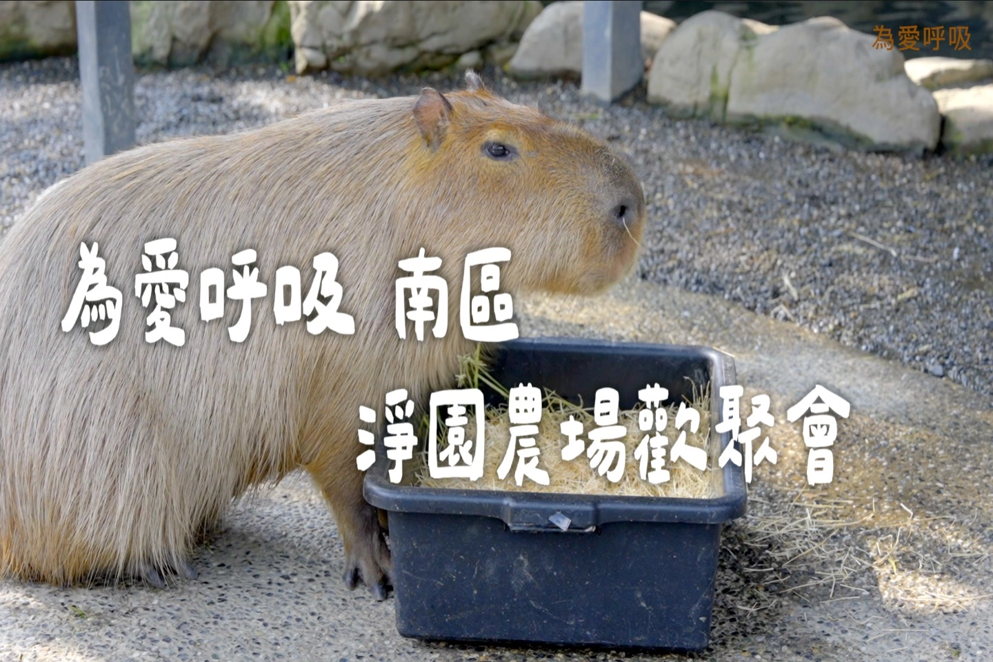 小港淨園農場